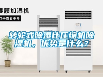 常見問題轉(zhuǎn)輪式除濕比壓縮機(jī)除濕機(jī)，優(yōu)勢是什么？
