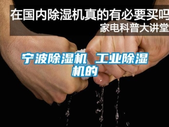 常見問題寧波除濕機(jī) 工業(yè)除濕機(jī)的