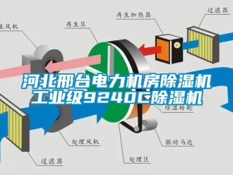 常見(jiàn)問(wèn)題河北邢臺(tái)電力機(jī)房除濕機(jī)工業(yè)級(jí)9240C除濕機(jī)