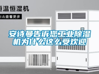 企業(yè)新聞安詩曼告訴您工業(yè)除濕機(jī)為什么這么受歡迎