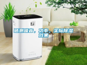 知識百科曬測噪音，功率，實際除濕效果