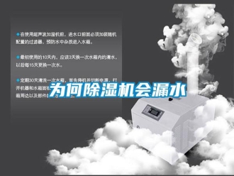 行業(yè)新聞為何除濕機會漏水
