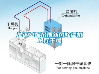 企業(yè)新聞地下室配吊頂新風(fēng)除濕機進行干燥