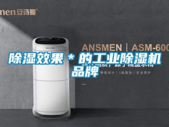 常見問題除濕效果＊的工業(yè)除濕機品牌