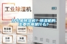 什么是除濕機(jī)？除濕機(jī)的主要作用是什么？