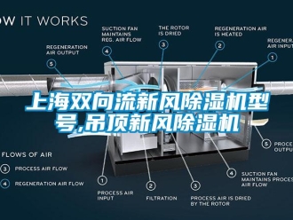 常見問題上海雙向流新風(fēng)除濕機型號,吊頂新風(fēng)除濕機