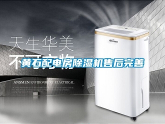 行業(yè)新聞黃石配電房除濕機(jī)售后完善