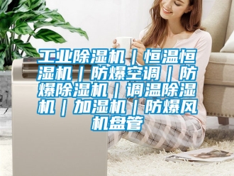 企業(yè)新聞工業(yè)除濕機｜恒溫恒濕機｜防爆空調｜防爆除濕機｜調溫除濕機｜加濕機｜防爆風機盤管