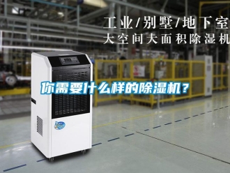 行業(yè)新聞你需要什么樣的除濕機？