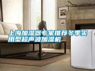 知識(shí)百科上海加濕器專(zhuān)家推薦冬季實(shí)用型超聲波加濕機(jī)