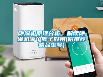 行業(yè)新聞除濕機(jī)原理分析，解讀除濕機(jī)哪個(gè)牌子好用(附推薦精品型號(hào))