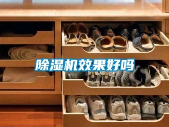 行業(yè)新聞除濕機效果好嗎