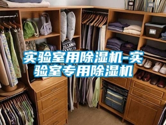 行業(yè)新聞實(shí)驗(yàn)室用除濕機(jī)-實(shí)驗(yàn)室專用除濕機(jī)