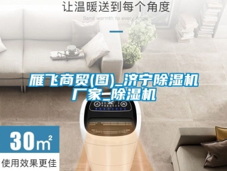 企業(yè)新聞雁飛商貿(mào)(圖)_濟(jì)寧除濕機(jī)廠家_除濕機(jī)