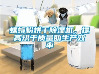行業(yè)新聞螺螄粉烘干除濕機，提高烘干質(zhì)量助生產(chǎn)效率