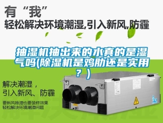企業(yè)新聞抽濕機抽出來的水真的是濕氣嗎(除濕機是雞肋還是實用？)
