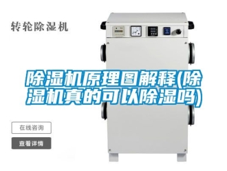 行業(yè)新聞除濕機(jī)原理圖解釋(除濕機(jī)真的可以除濕嗎)