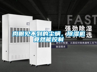 行業(yè)新聞肉眼見不到的塵螨，除濕機竟然能控制