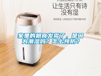 常見(jiàn)問(wèn)題家里的糧食發(fā)霉了，是因?yàn)槌睗駟?？怎么預(yù)防？