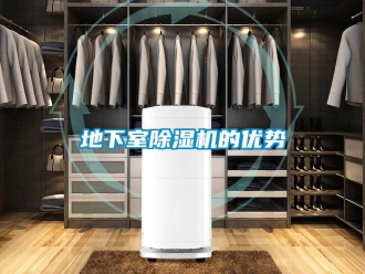 行業(yè)新聞地下室除濕機的優(yōu)勢