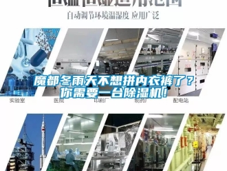 行業(yè)新聞魔都冬雨天不想拼內(nèi)衣褲了？你需要一臺除濕機！