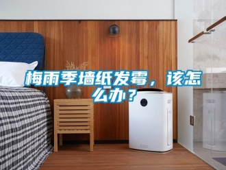 常見(jiàn)問(wèn)題梅雨季墻紙發(fā)霉，該怎么辦？