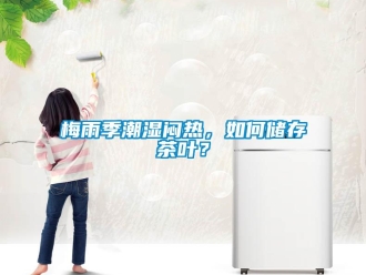 常見問題梅雨季潮濕悶熱，如何儲存茶葉？
