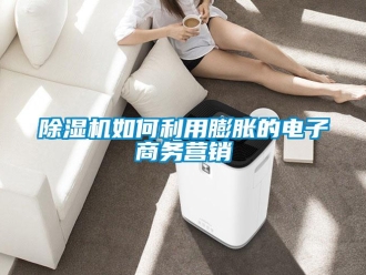 常見問題除濕機如何利用膨脹的電子商務(wù)營銷