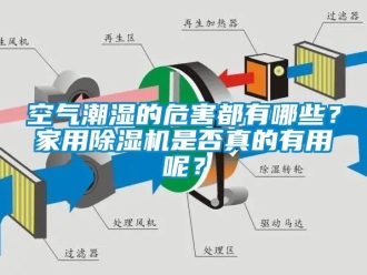 常見(jiàn)問(wèn)題空氣潮濕的危害都有哪些？家用除濕機(jī)是否真的有用呢？