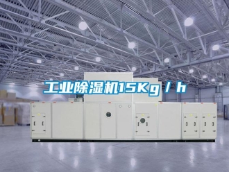 企業(yè)新聞工業(yè)除濕機15Kg／h