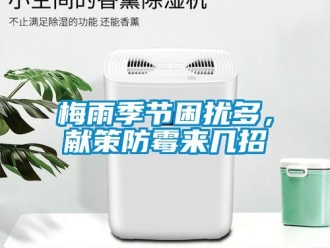 行業(yè)新聞梅雨季節(jié)困擾多，獻策防霉來幾招