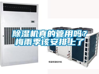 常見問題除濕機真的管用嗎？梅雨季該安排上了
