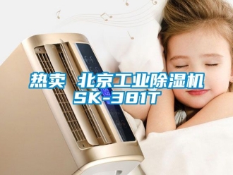 常見問題熱賣 北京工業(yè)除濕機(jī)SK-381T