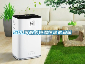 常見問題50L可程式恒溫恒濕試驗(yàn)箱