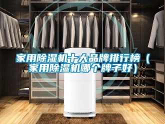 企業(yè)新聞家用除濕機十大品牌排行榜（家用除濕機哪個牌子好）
