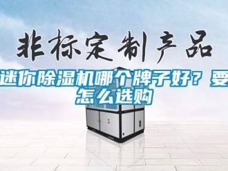 行業(yè)新聞迷你除濕機(jī)哪個牌子好？要怎么選購