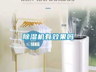 行業(yè)新聞除濕機有效果嗎