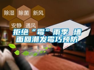 行業(yè)新聞拒絕“霉”雨季 墻面回潮發(fā)霉巧預(yù)防