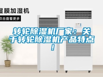 企業(yè)新聞轉(zhuǎn)輪除濕機廠家：關(guān)于轉(zhuǎn)輪除濕機產(chǎn)品特點！