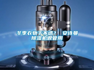 企業(yè)新聞冬季衣物干不透？ 安詩曼除濕機(jī)很管用