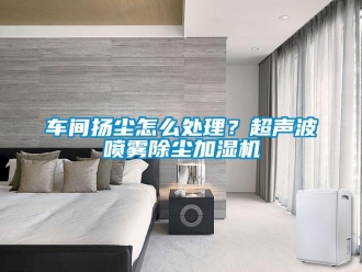常見問題車間揚塵怎么處理？超聲波噴霧除塵加濕機