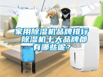 企業(yè)新聞家用除濕機品牌排行 除濕機十大品牌都有哪些呢？