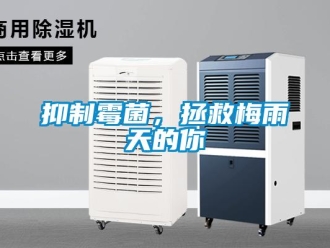 知識百科抑制霉菌，拯救梅雨天的你