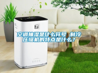 企業(yè)新聞空調(diào)抽濕是什么符號 制冷壓縮機(jī)的特點(diǎn)是什么？