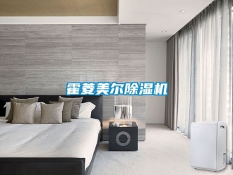 行業(yè)新聞霍菱美爾除濕機