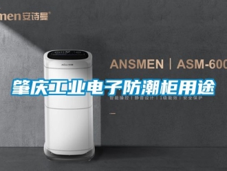 常見問題肇慶工業(yè)電子防潮柜用途
