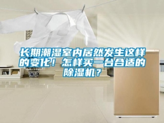 行業(yè)新聞長期潮濕室內(nèi)居然發(fā)生這樣的變化！怎樣買一臺合適的除濕機？