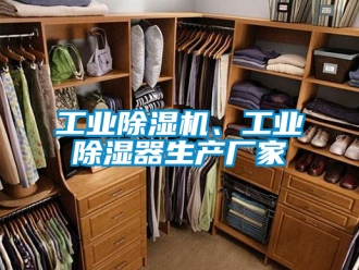 企業(yè)新聞工業(yè)除濕機(jī)、工業(yè)除濕器生產(chǎn)廠家