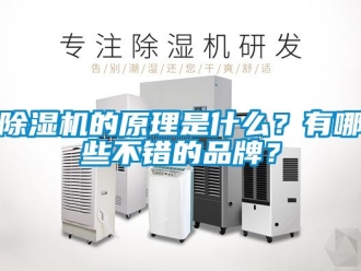 企業(yè)新聞除濕機(jī)的原理是什么？有哪些不錯(cuò)的品牌？