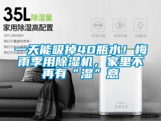 行業(yè)新聞一天能吸掉40瓶水！梅雨季用除濕機(jī)，家里不再有“濕”意